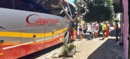 Visita