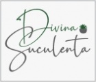 Suculenta